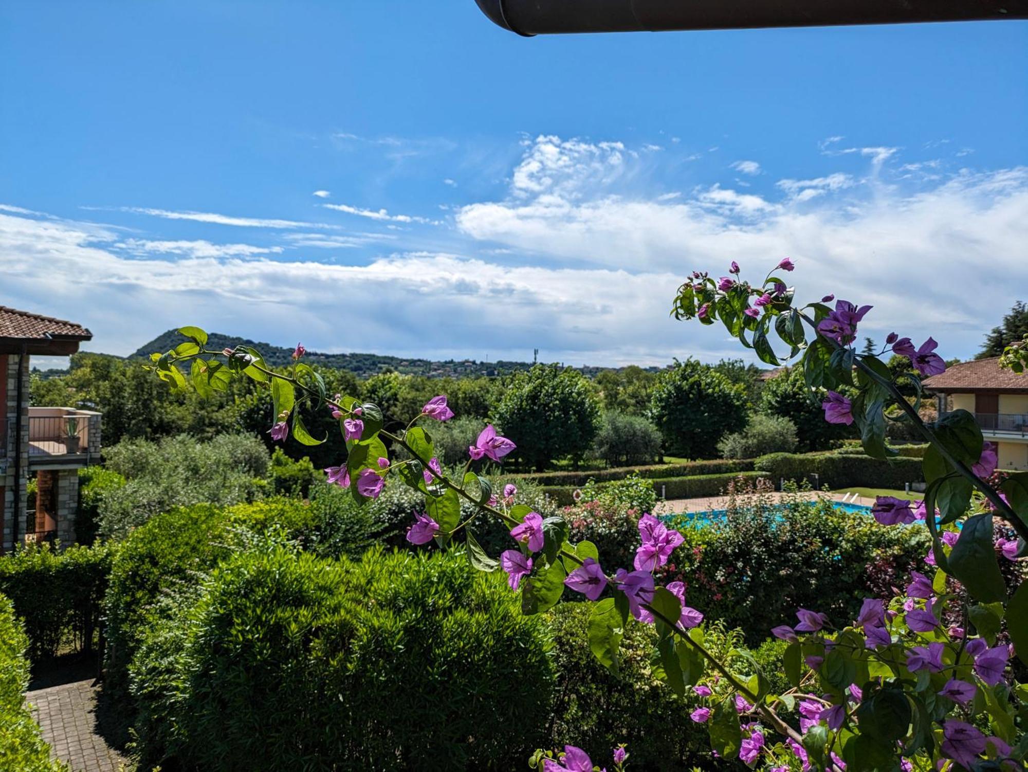 La Fenice Holiday Apartment Manerba del Garda Eksteriør billede